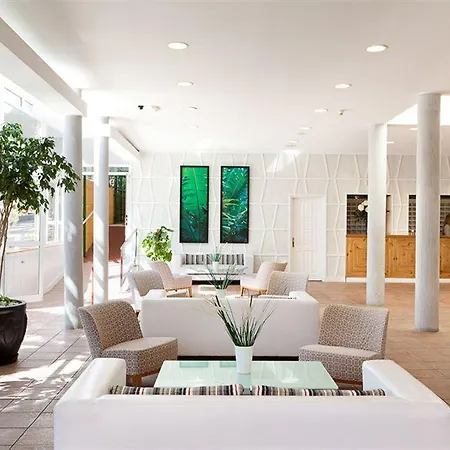 Plataneras Лос Кристианос